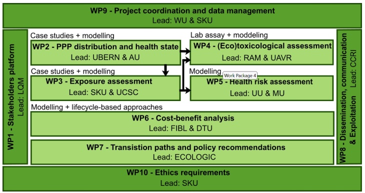 Sprint Graphic Wps